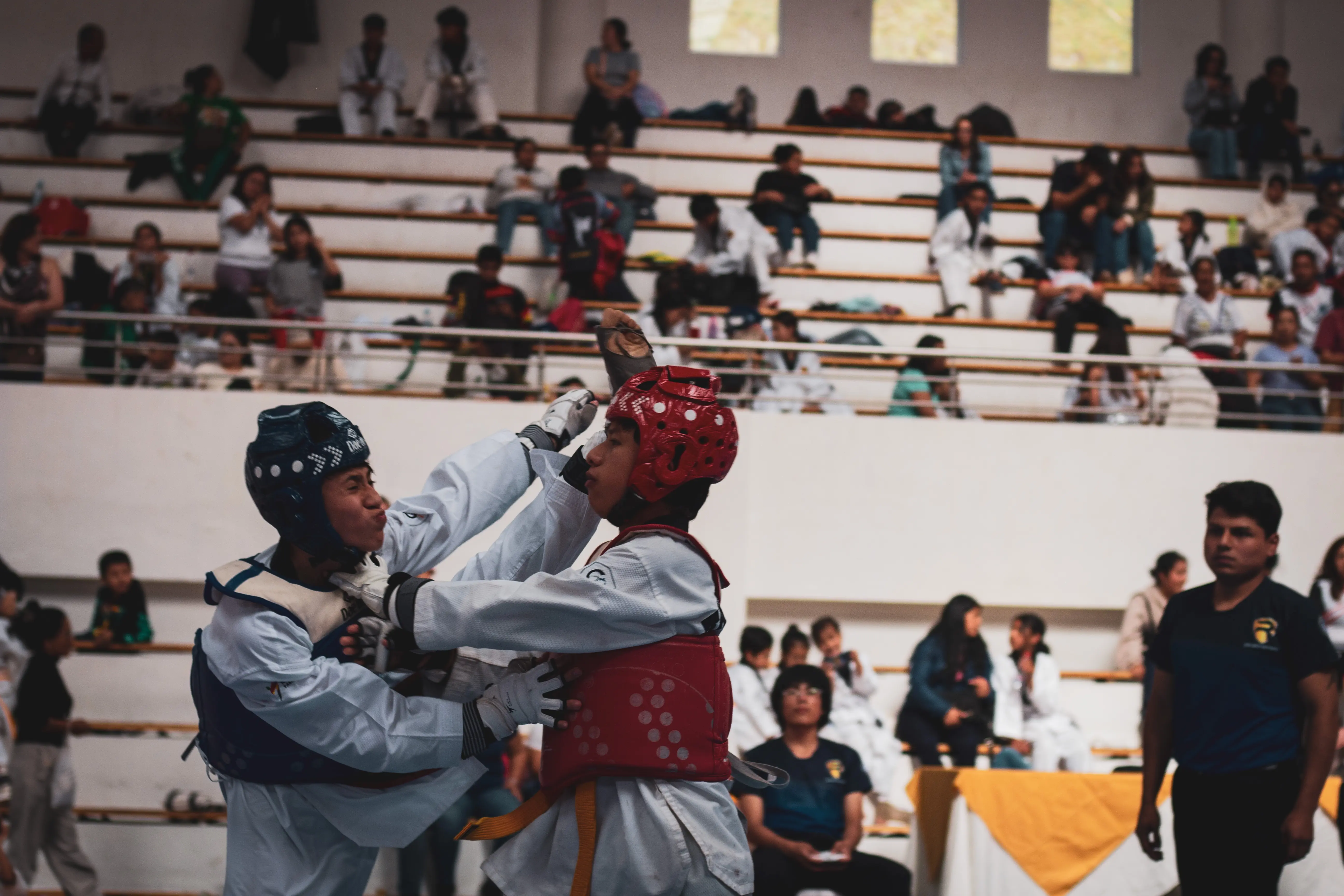 Combate Taekwondo 3